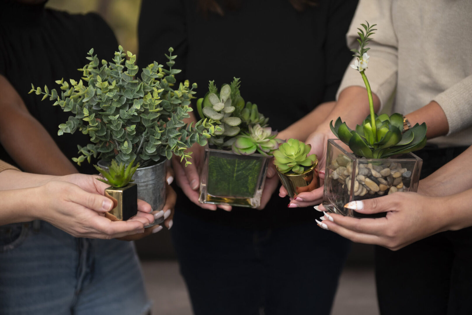 A group of people holding plants in their hands.