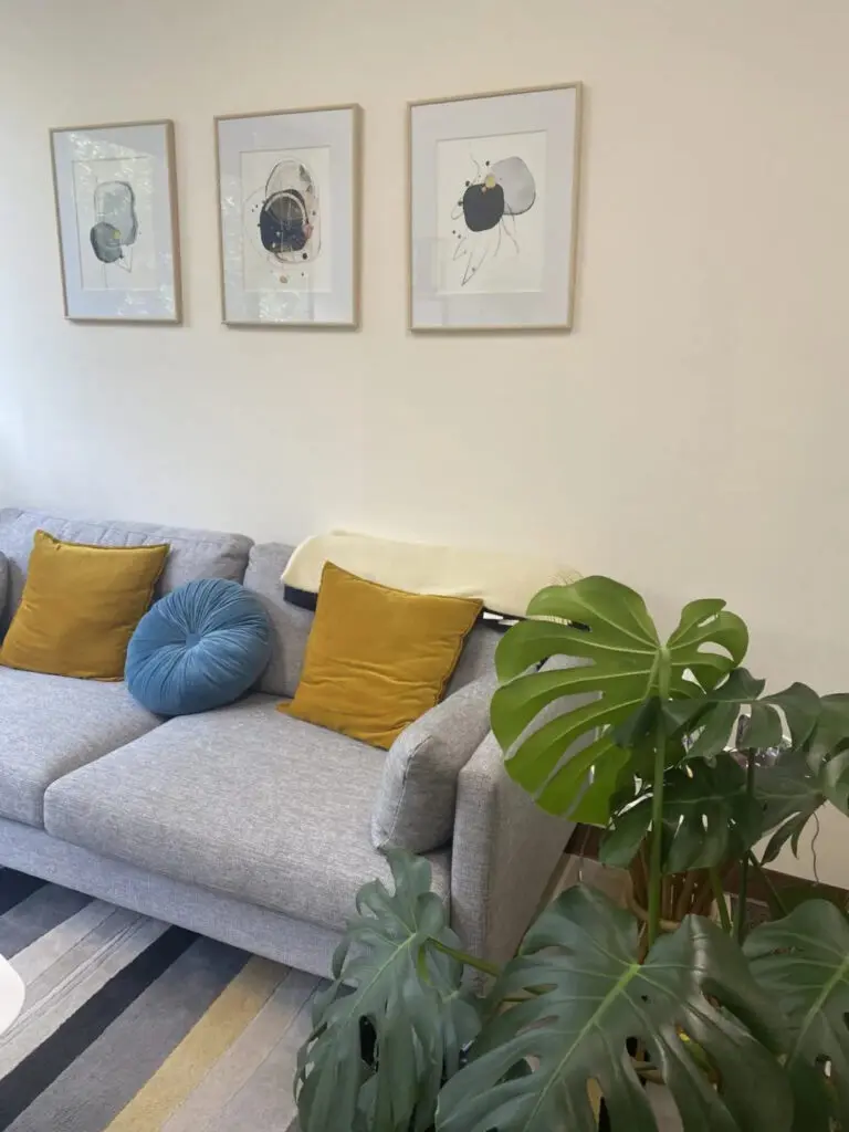 A couch with three pillows and a plant in the corner.