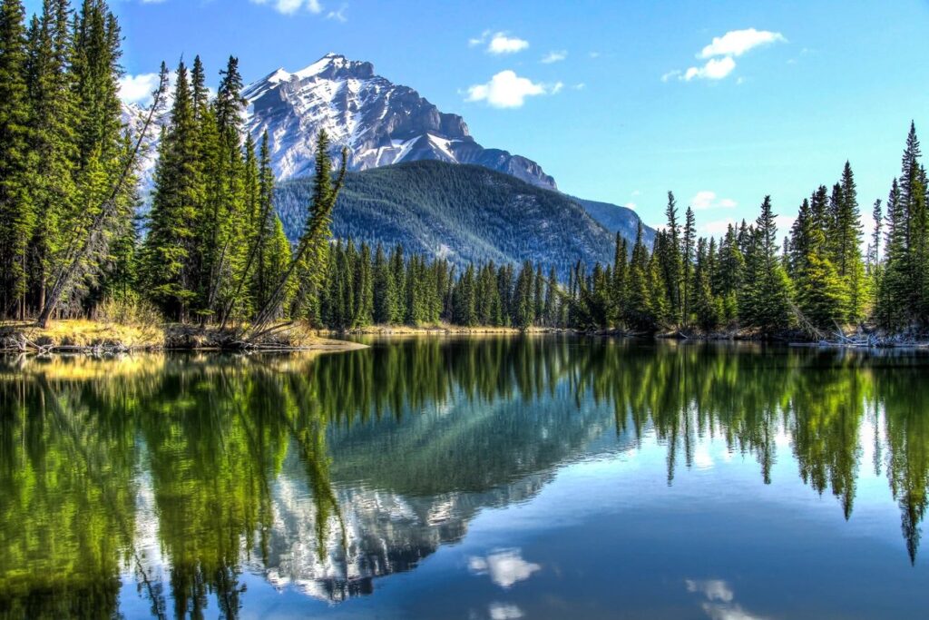 A lake with trees and mountains in the background