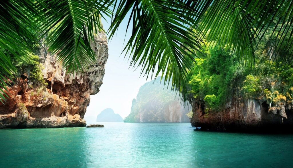 A view of the ocean from under palm trees.